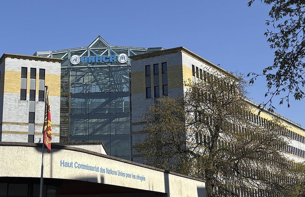 为节省开支 联合国难民署裁员3500人 为节省开支 联合国难民署裁员3500人