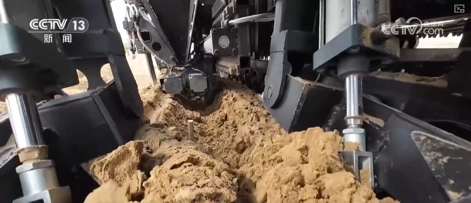 宜林则林、宜草则草 “沙退绿进”生态奇迹彰显“智慧”底色 宜林则林、宜草则草 “沙退绿进”生态奇迹彰显“智慧”底色