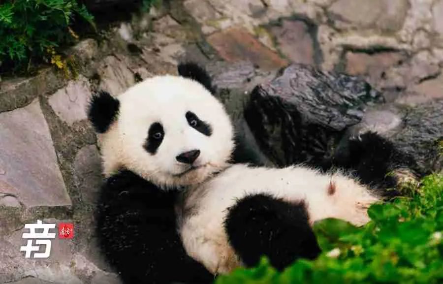 你的疲惫不是懒！“低精力人群”如何“充电”？