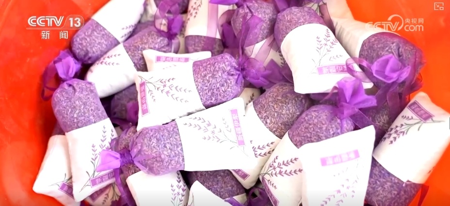 擦亮紫色花海“金字招牌” “花卉+”激活吃、住、游、购综合消费新动能 擦亮紫色花海“金字招牌” “花卉+”激活吃、住、游、购综合消费新动能