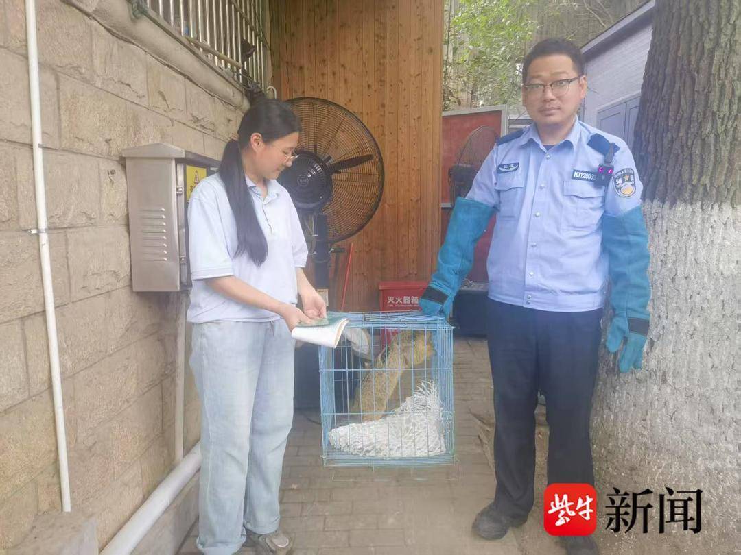 土拨鼠造访幼儿园，警民协力智擒“萌兽”