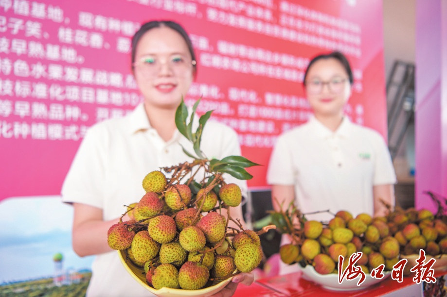 今年首次进入美洲、非洲和欧洲市场!海口火山荔枝登上“世界货架” 今年首次进入美洲、非洲和欧洲市场!海口火山荔枝登上“世界货架”