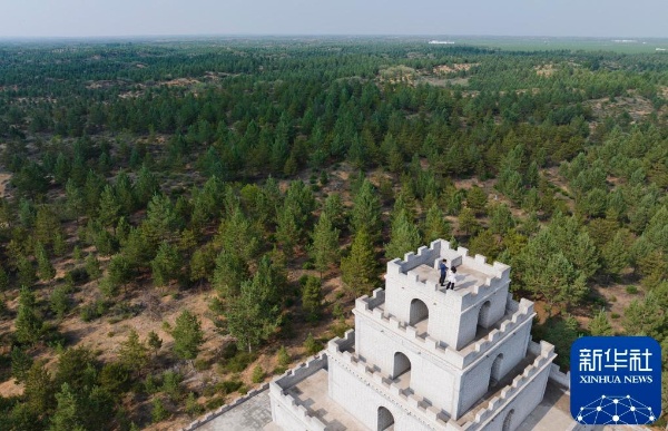 治沙这件事,他们做了一辈子 治沙这件事,他们做了一辈子