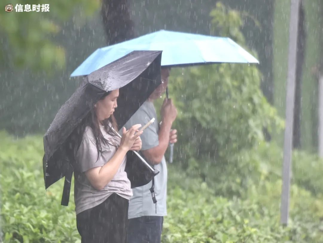 广东多地因暴雨停课！广州今日仍有局部大暴雨