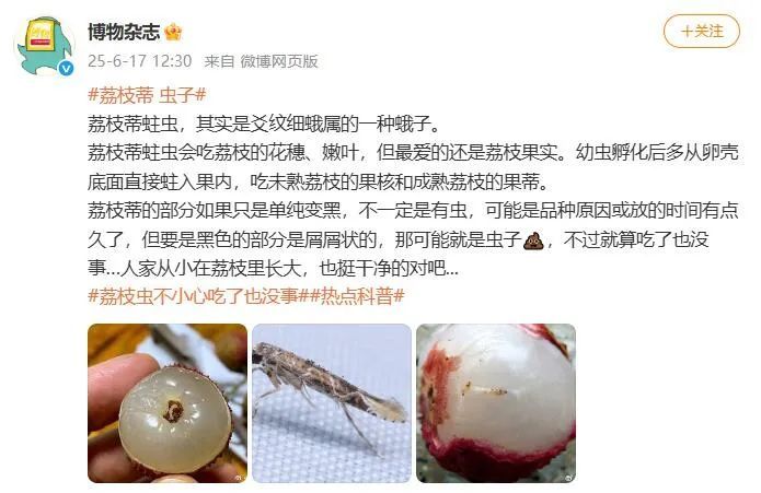 荔枝蒂发黑可能是长虫？网友坐不住了