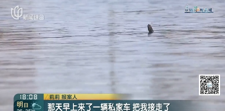 “复旦医学博士”骗财骗色,还骗女硕士取卵?已被依法批准逮捕 “复旦医学博士”骗财骗色,还骗女硕士取卵?已被依法批准逮捕