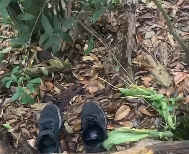 奇迹!62岁老人走失十天,被6岁的“她”找到了 奇迹!62岁老人走失十天,被6岁的“她”找到了