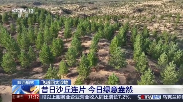 今昔对比瞰变迁 卫星视角带你飞越四大沙地 今昔对比瞰变迁 卫星视角带你飞越四大沙地