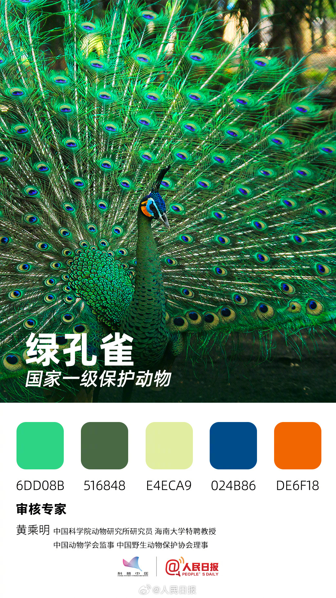 收藏！用色卡方式看多彩的天空精灵