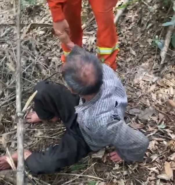 奇迹!62岁老人走失十天,被6岁的“她”找到了 奇迹!62岁老人走失十天,被6岁的“她”找到了