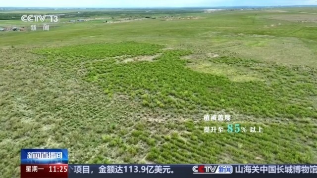 今昔对比瞰变迁 卫星视角带你飞越四大沙地 今昔对比瞰变迁 卫星视角带你飞越四大沙地