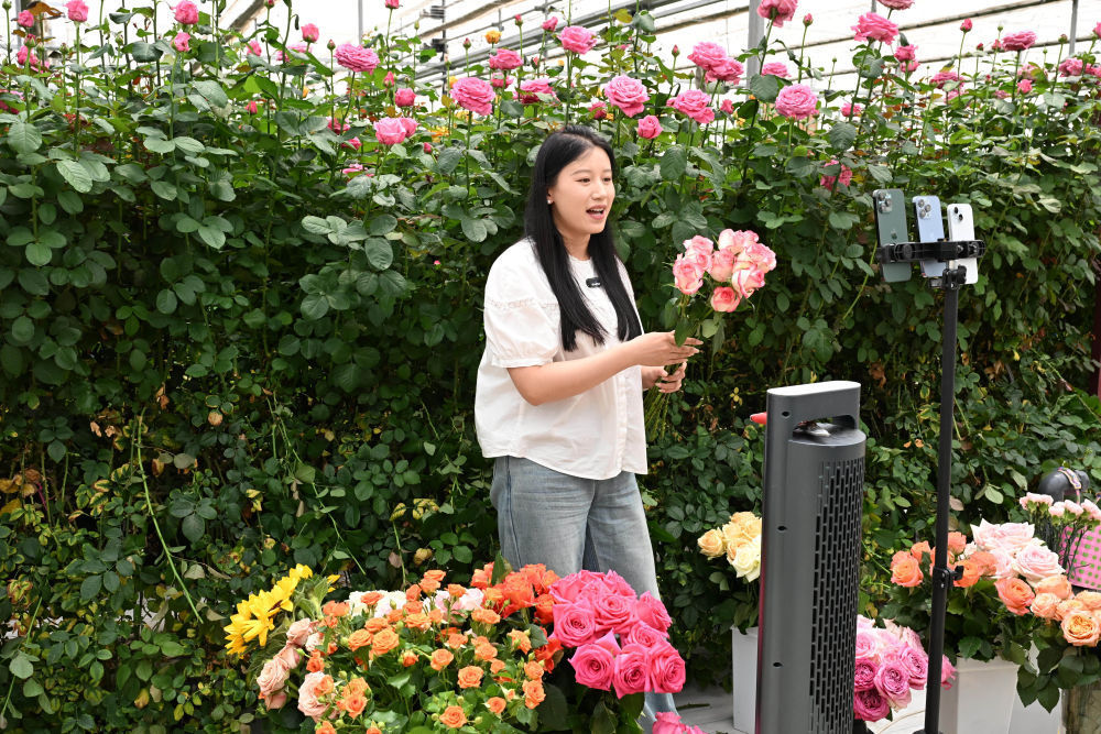 从5月数据看中国经济增长点 从5月数据看中国经济增长点