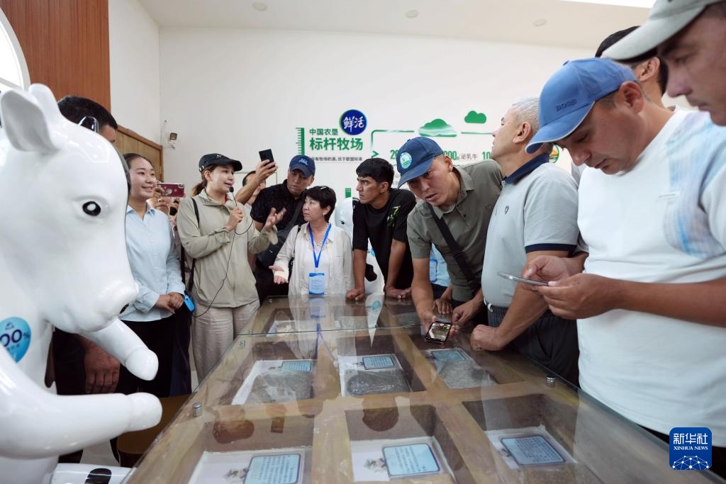 新华全媒+丨职业培训促进中国—中亚农业交流合作 新华全媒+丨职业培训促进中国—中亚农业交流合作