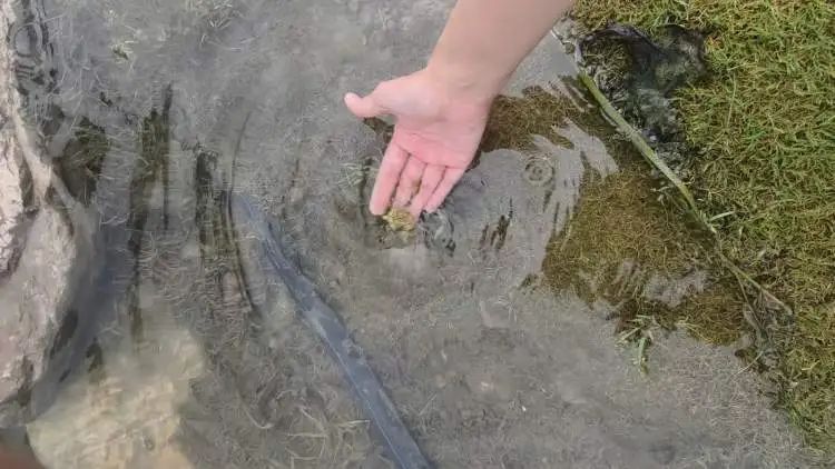 上海此地成为圈内网红宝地后,爷叔却在劝退:不安全的,千万别来… 上海此地成为圈内网红宝地后,爷叔却在劝退:不安全的,千万别来…