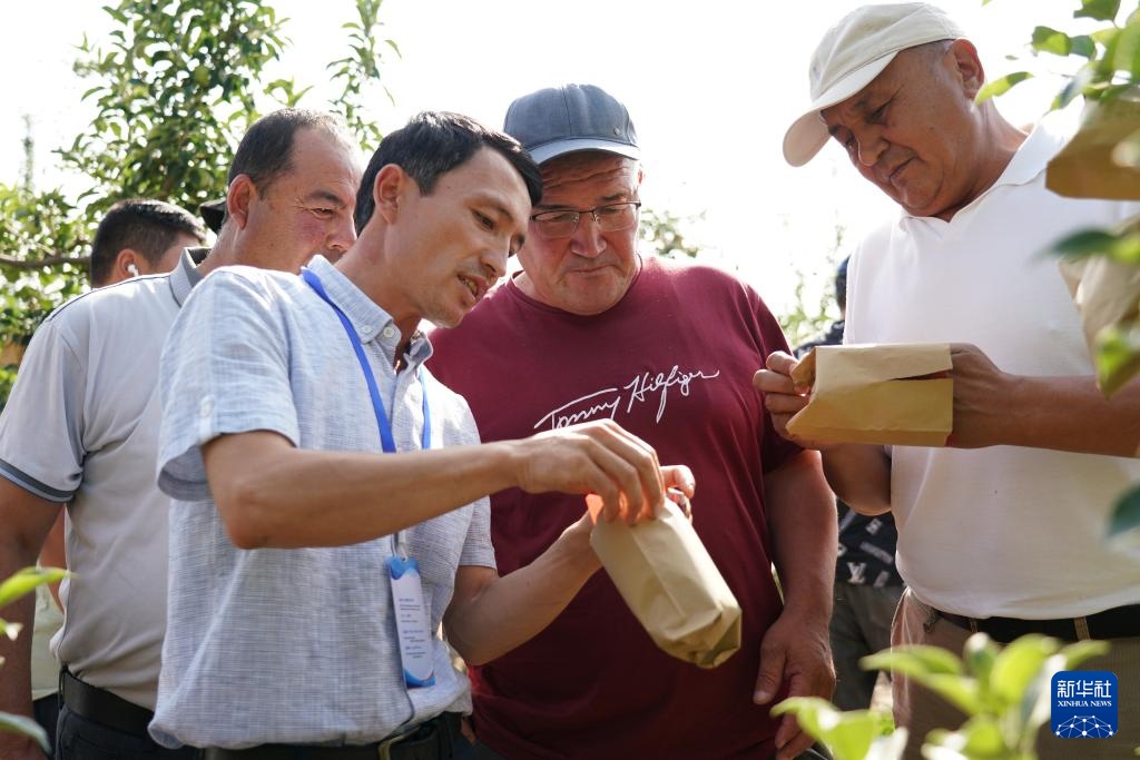 新华全媒+丨职业培训促进中国—中亚农业交流合作 新华全媒+丨职业培训促进中国—中亚农业交流合作