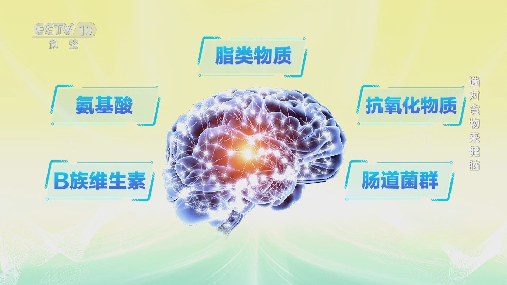 吃出“最强大脑”：延缓大脑衰老的饮食秘诀