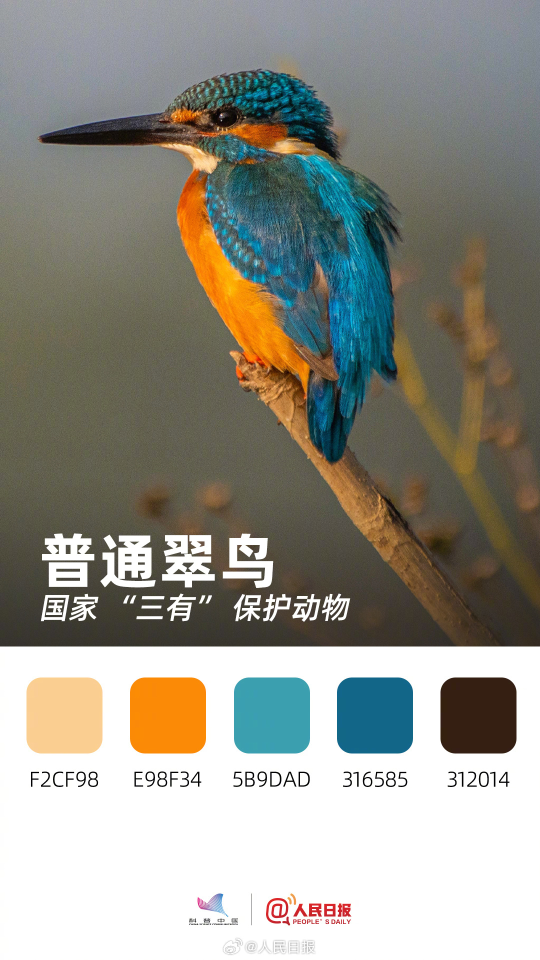 收藏！用色卡方式看多彩的天空精灵