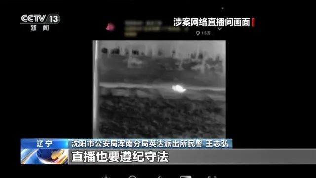辽宁一男子为“涨粉”直播猎鸟,造成大量鸟类死亡,已被警方采取刑事强制措施 辽宁一男子为“涨粉”直播猎鸟,造成大量鸟类死亡,已被警方采取刑事强制措施
