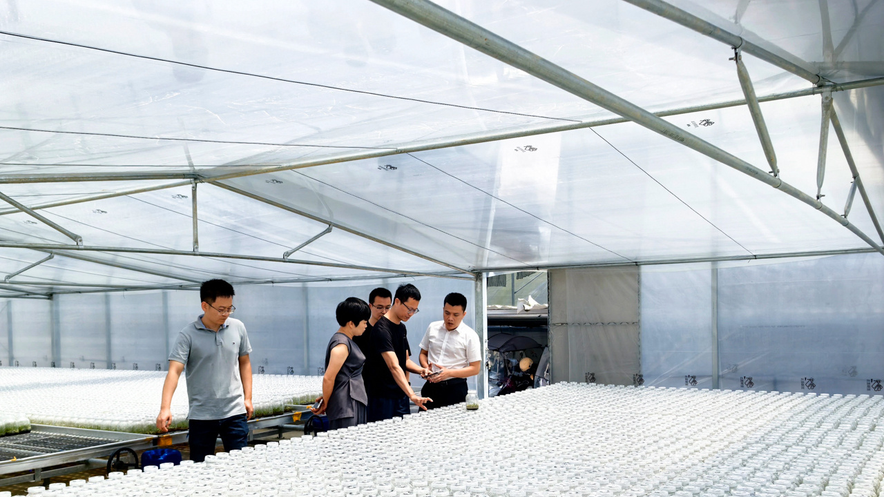 龙岩新罗：兰花经济激活乡村振兴“一池春水”