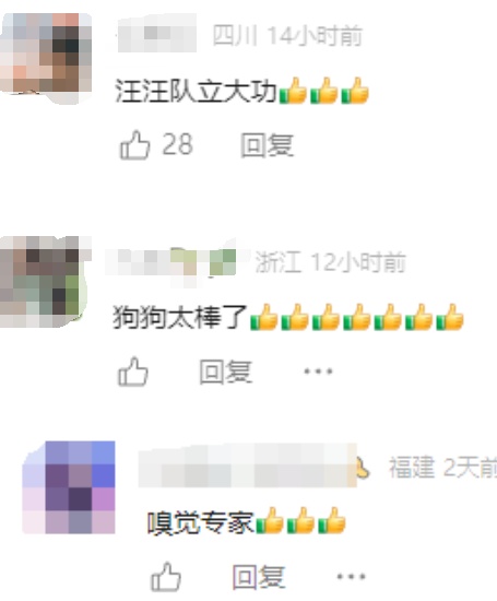 奇迹!62岁老人走失十天,被6岁的“她”找到了 奇迹!62岁老人走失十天,被6岁的“她”找到了