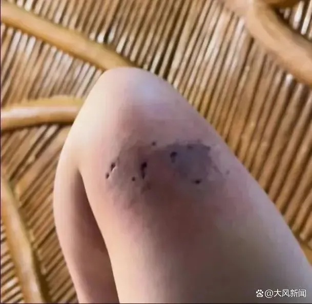 小熊猫叫早服务，被叫停！
