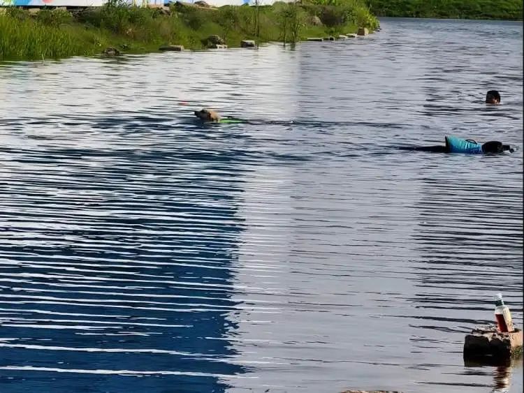 上海此地成为圈内网红宝地后,爷叔却在劝退:不安全的,千万别来… 上海此地成为圈内网红宝地后,爷叔却在劝退:不安全的,千万别来…