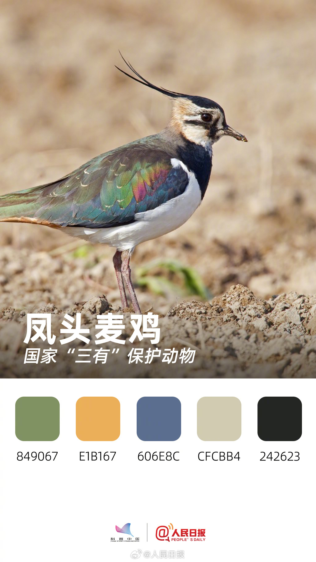 收藏！用色卡方式看多彩的天空精灵