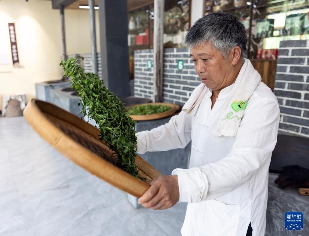 湖南桂东:夏茶采制忙 湖南桂东:夏茶采制忙