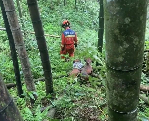 奇迹!62岁老人走失十天,被6岁的“她”找到了 奇迹!62岁老人走失十天,被6岁的“她”找到了