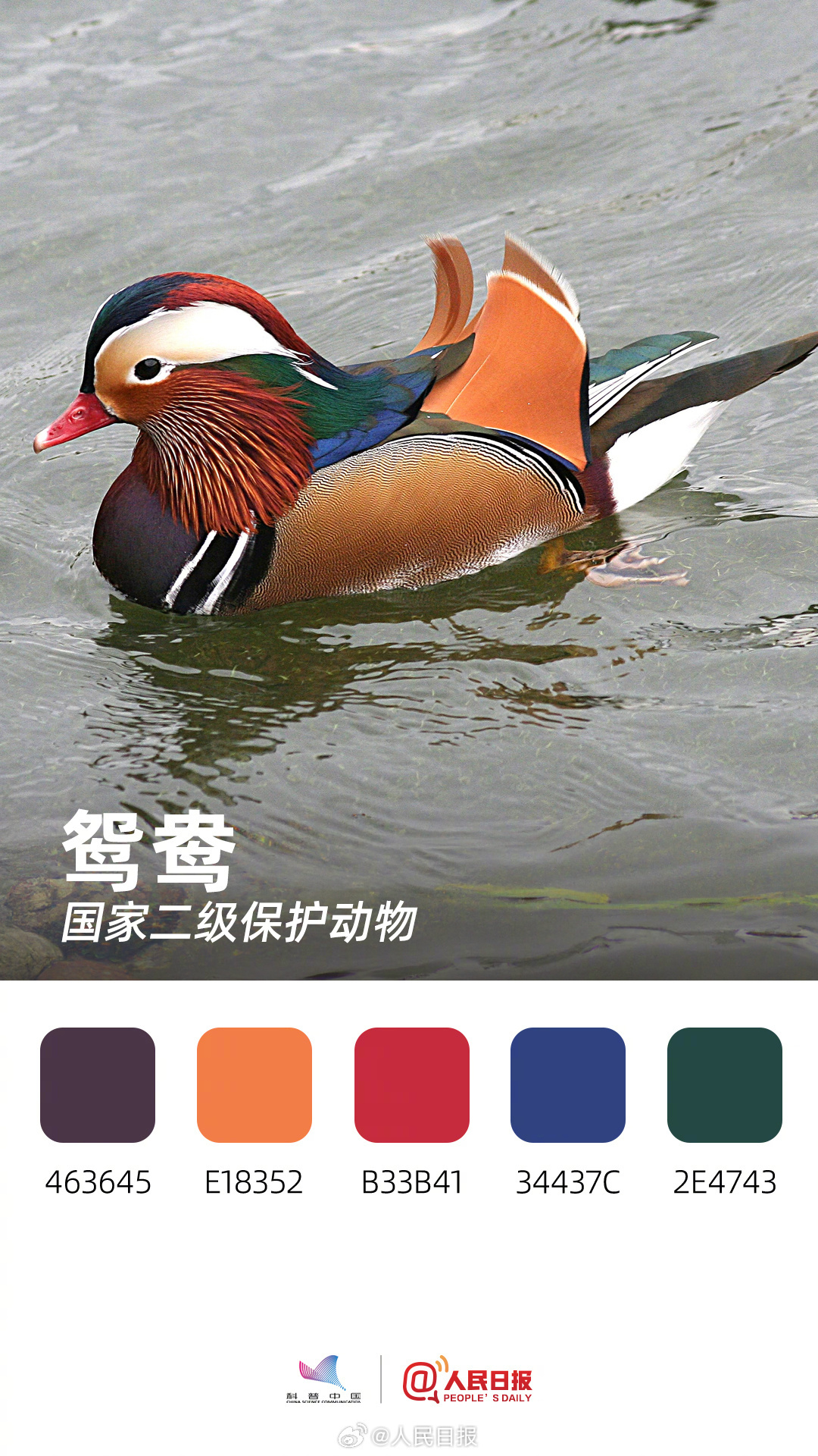 收藏！用色卡方式看多彩的天空精灵