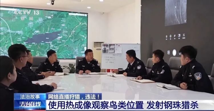 主播为“涨粉”直播猎鸟,线上教学、销售捕猎工具,5人被采取刑事强制措施 主播为“涨粉”直播猎鸟,线上教学、销售捕猎工具,5人被采取刑事强制措施