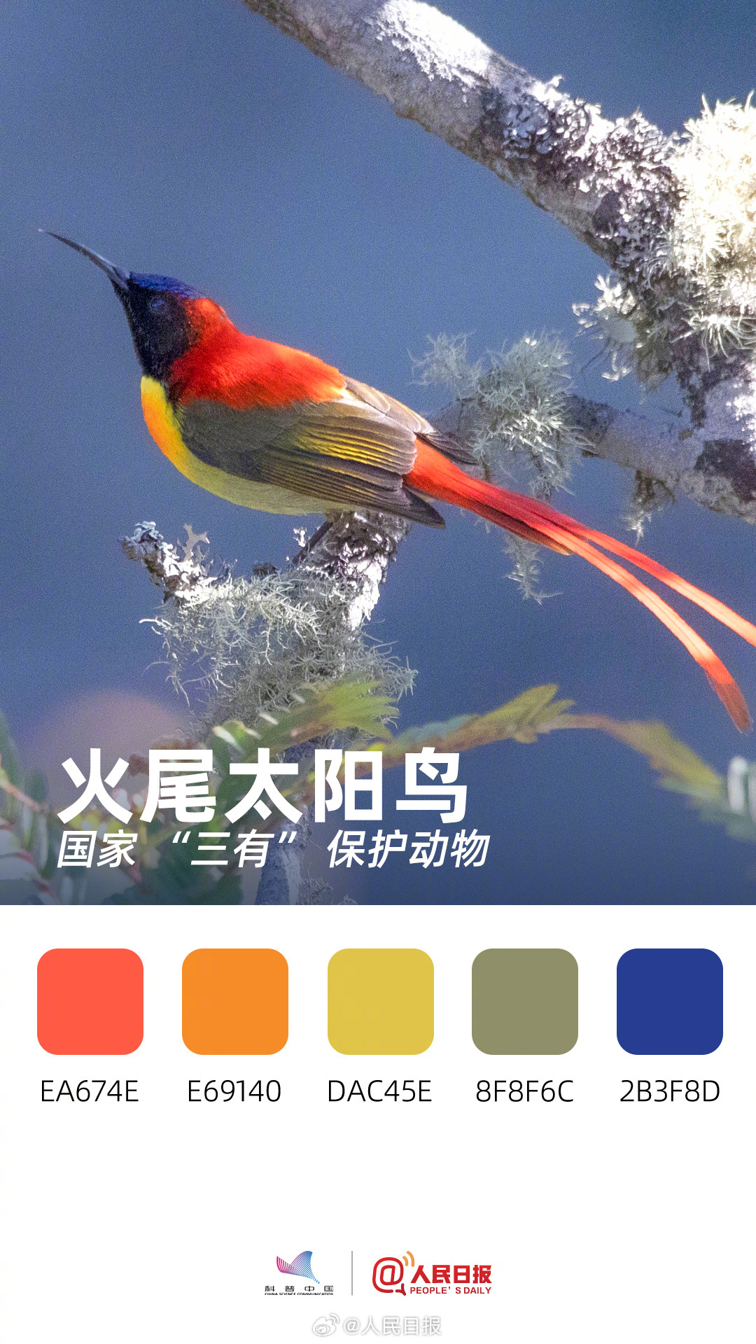 收藏！用色卡方式看多彩的天空精灵