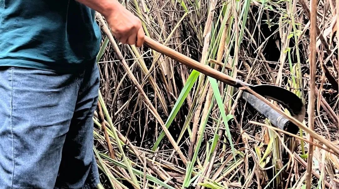 张家界溶洞污染事件调查 张家界溶洞污染事件调查