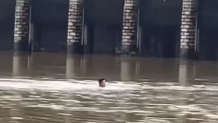 “蝴蝶”刮来免费海鲜?台风过境后,消防紧急提醒! “蝴蝶”刮来免费海鲜?台风过境后,消防紧急提醒!