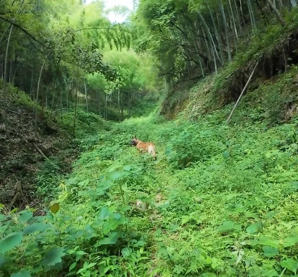 奇迹!6岁的TA,立大功! 奇迹!6岁的TA,立大功!