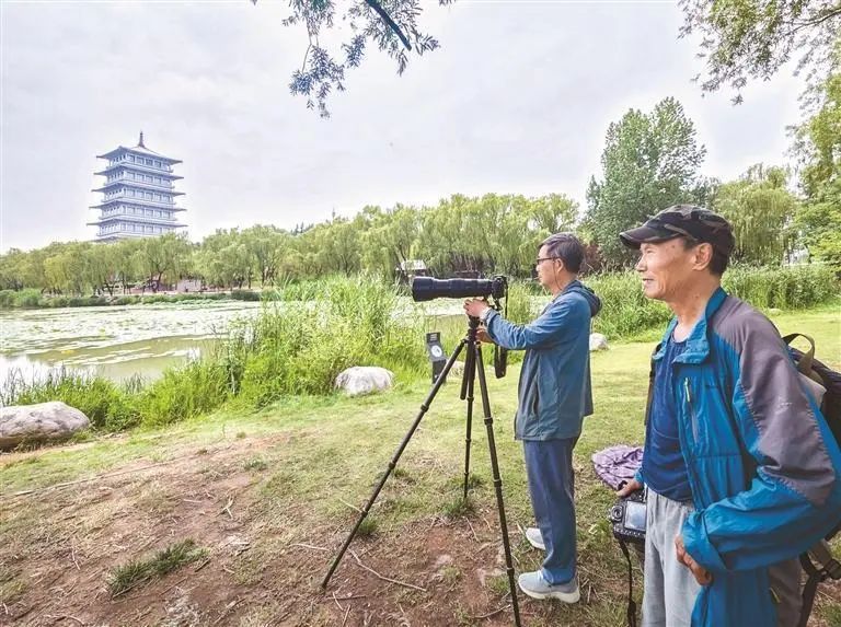 “凌波仙子”现身西安世博园 “凌波仙子”现身西安世博园