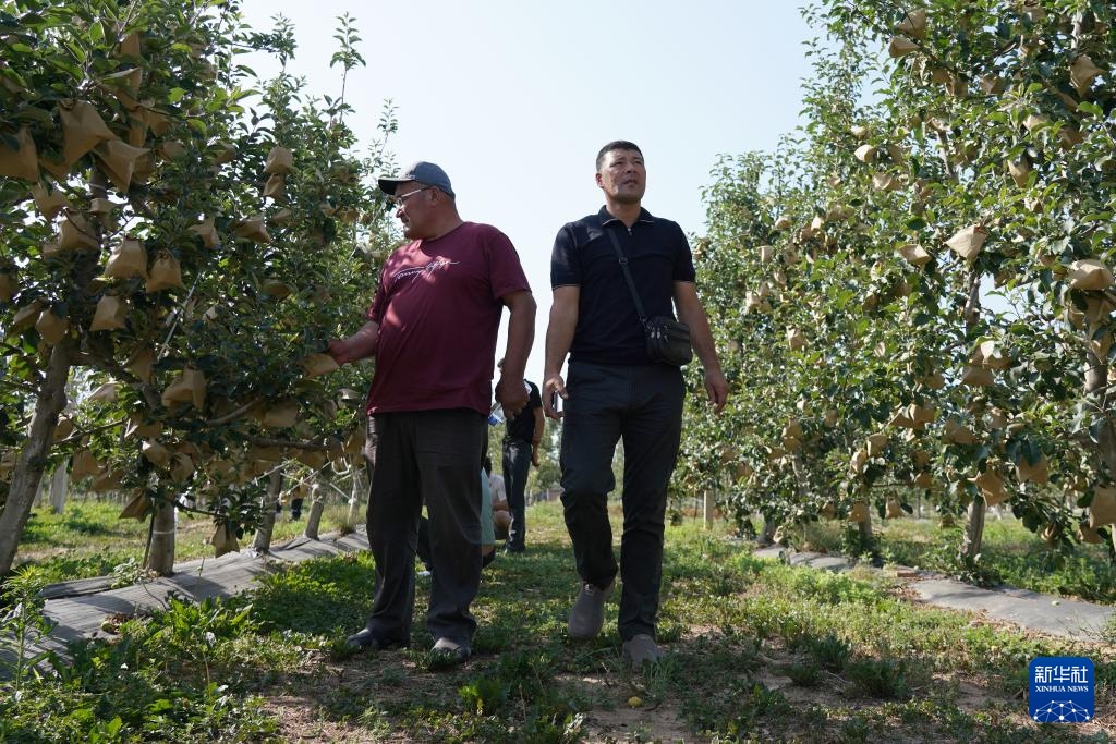 新华全媒+丨职业培训促进中国—中亚农业交流合作 新华全媒+丨职业培训促进中国—中亚农业交流合作