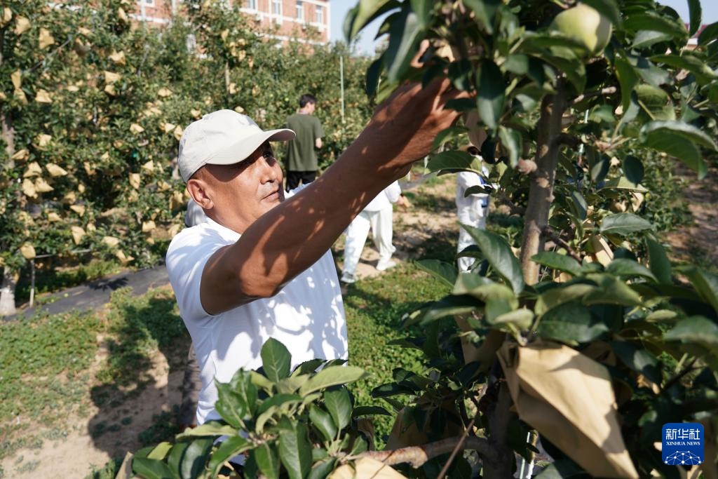 新华全媒+丨职业培训促进中国—中亚农业交流合作 新华全媒+丨职业培训促进中国—中亚农业交流合作