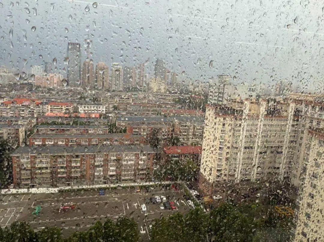 天津:雨下了!树倒了!10级大风!黄色预警! 天津:雨下了!树倒了!10级大风!黄色预警!