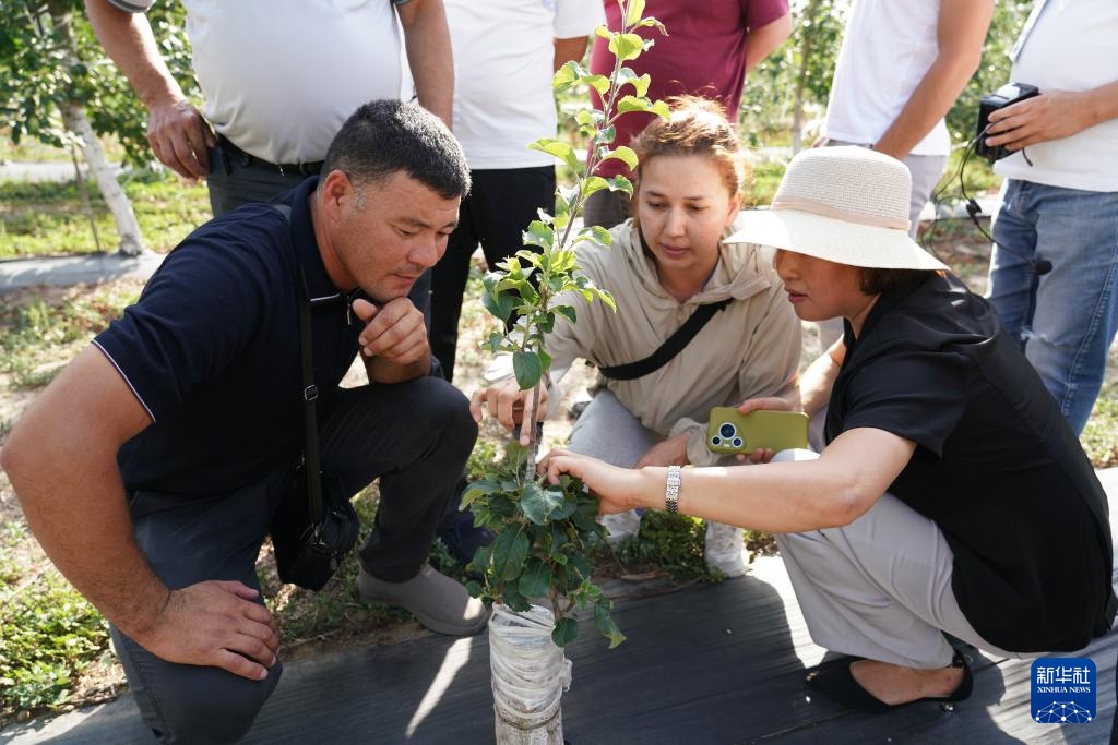 新华全媒+丨职业培训促进中国—中亚农业交流合作 新华全媒+丨职业培训促进中国—中亚农业交流合作