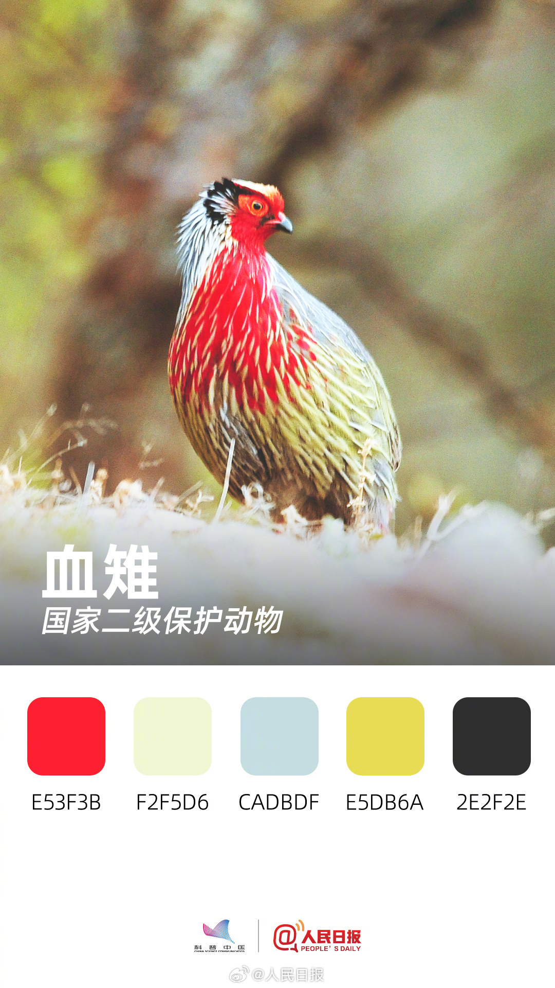 收藏！用色卡方式看多彩的天空精灵