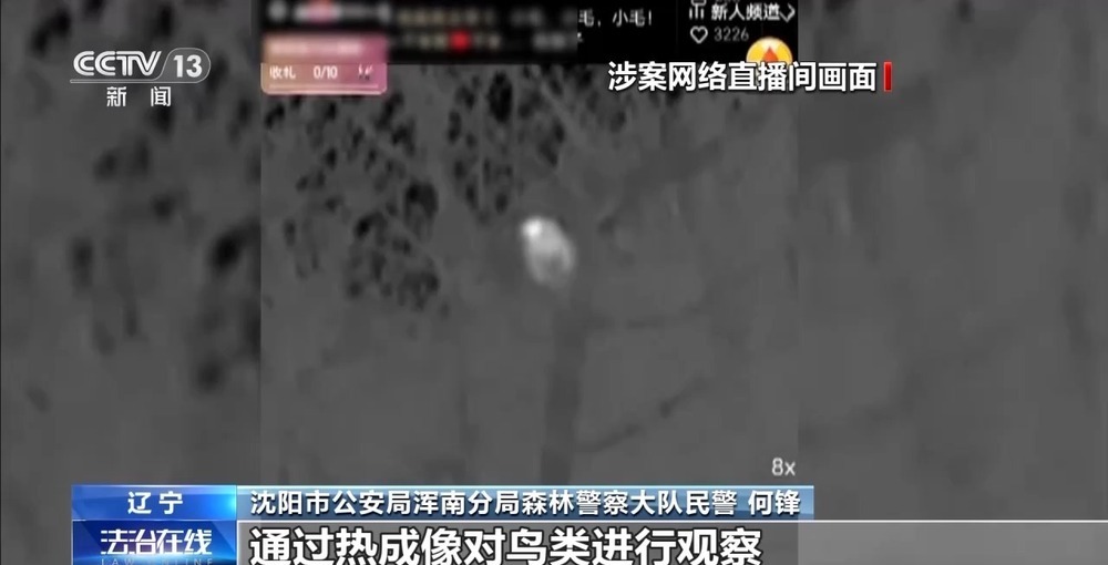 主播为“涨粉”直播猎鸟 黑色链条被警方打掉