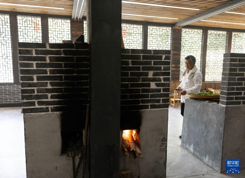 湖南桂东:夏茶采制忙 湖南桂东:夏茶采制忙