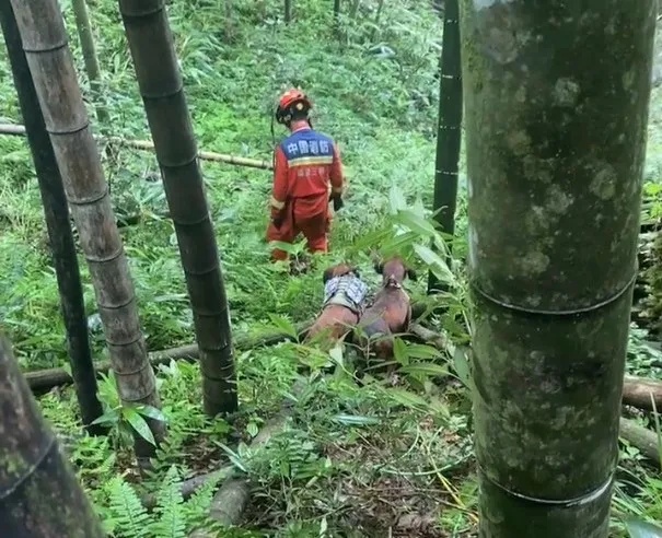 奇迹!6岁的TA,立大功! 奇迹!6岁的TA,立大功!