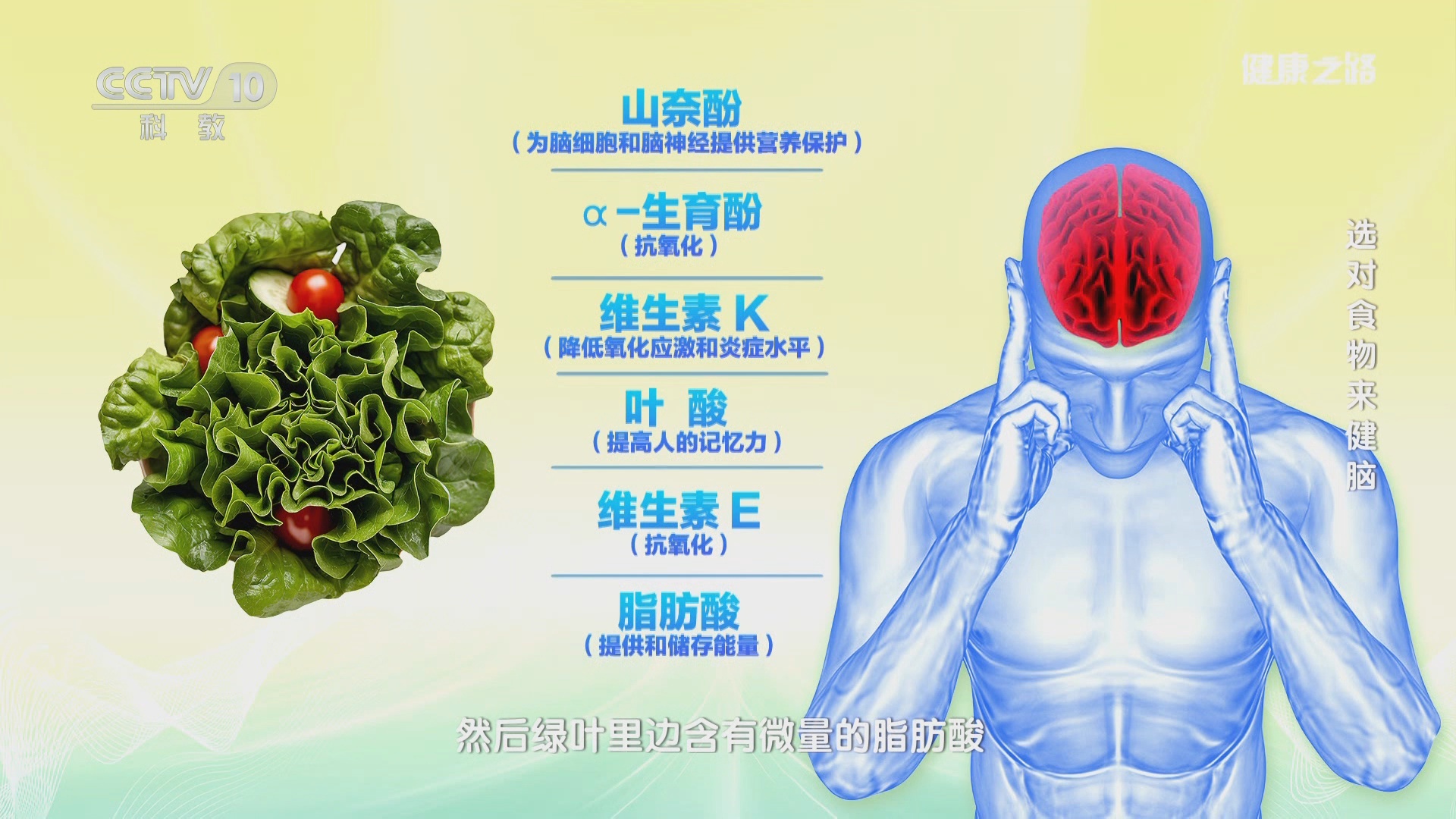 吃出“最强大脑”：延缓大脑衰老的饮食秘诀