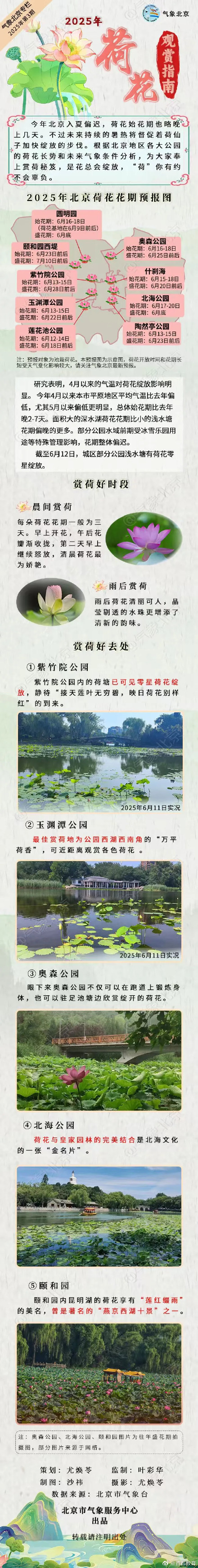 北京各大公园荷花观赏指南来啦 北京各大公园荷花观赏指南来啦