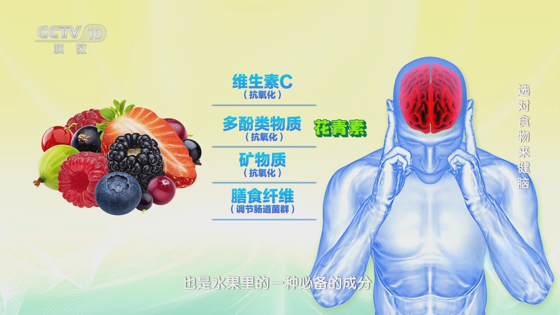 吃出“最强大脑”：延缓大脑衰老的饮食秘诀