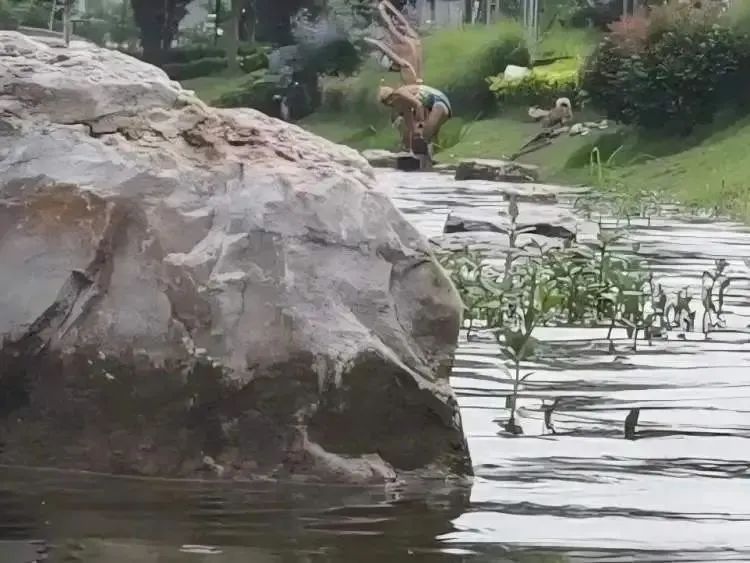 上海一河道变身网红泳池？已有2人溺水！不少心大的家长带娃野泳，后果不堪设想……