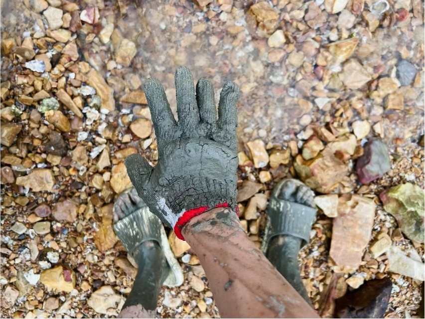 捡海鲜致拇指被击穿?夏天赶海这些生物千万别碰! 捡海鲜致拇指被击穿?夏天赶海这些生物千万别碰!
