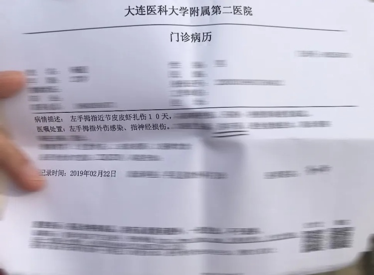 夏天在海边看到这些，赶紧跑！千万别用手摸
